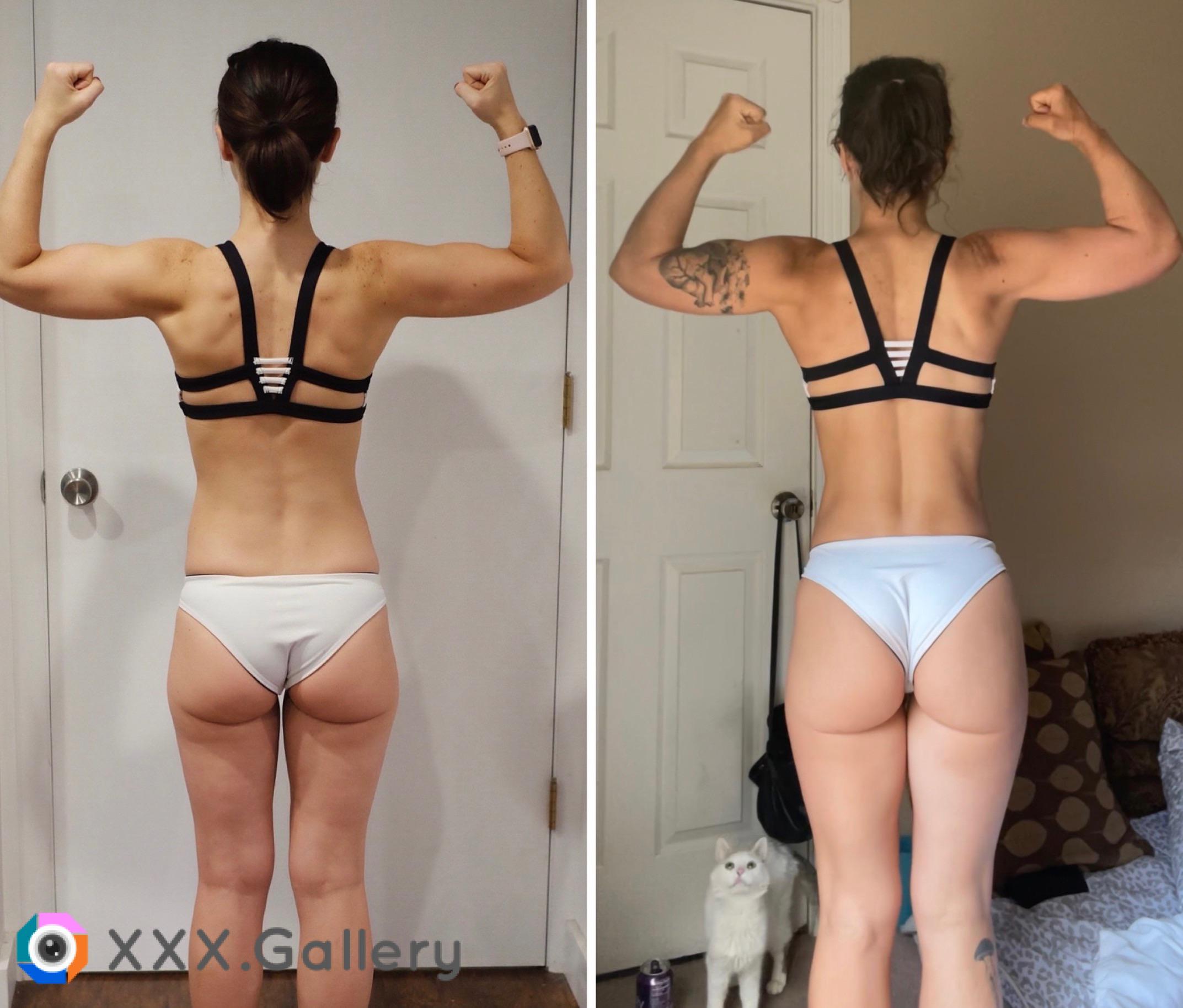 Figured Id share the backside progress too Body recomp is