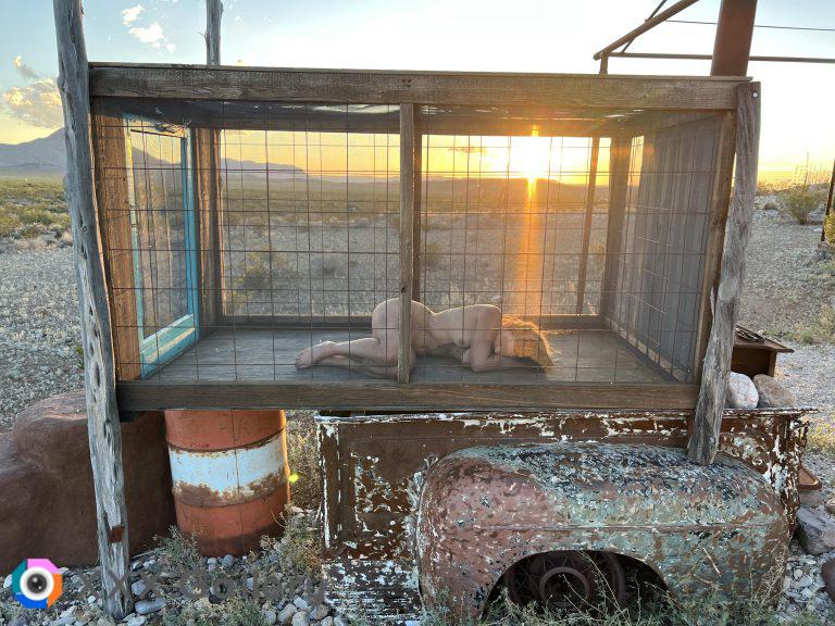 Desert cage from sunset to sunrise 3