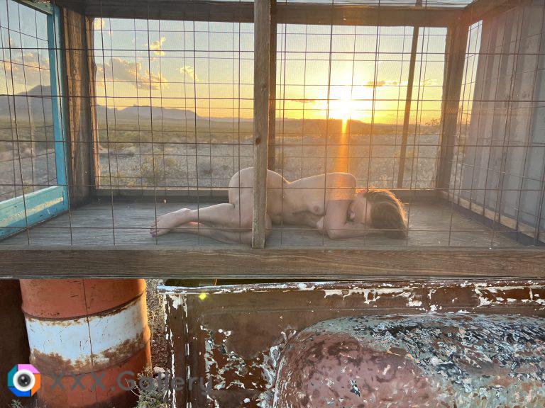 Cage sunset to sunrise 2
