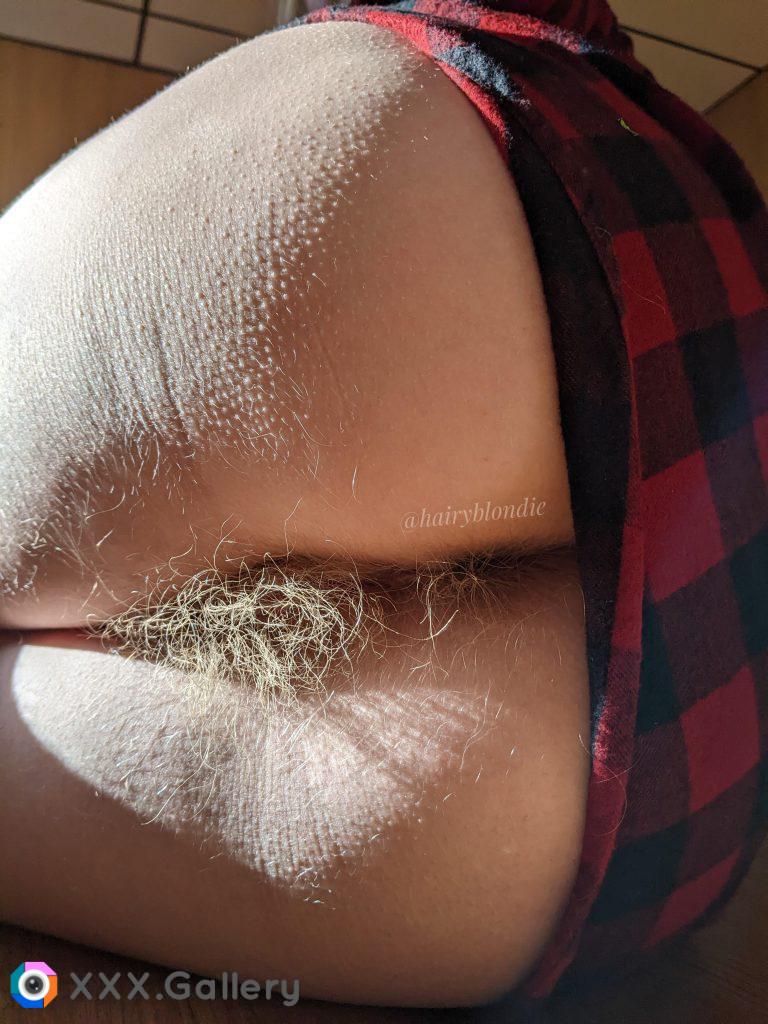 Ever ate an ass this hairy?