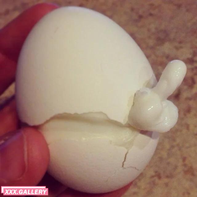 I think the egg is ready…