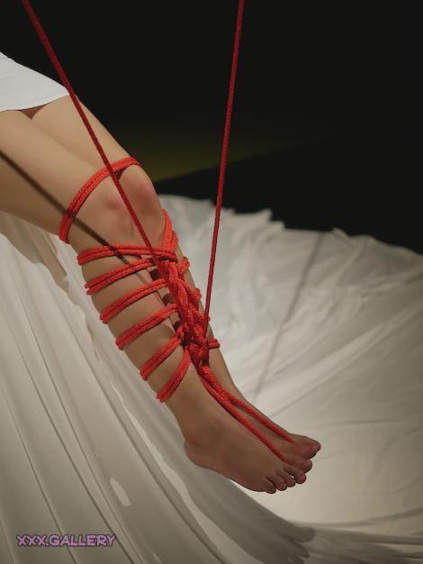 Tangled in Crimson: A Tale of Passion and Restraint