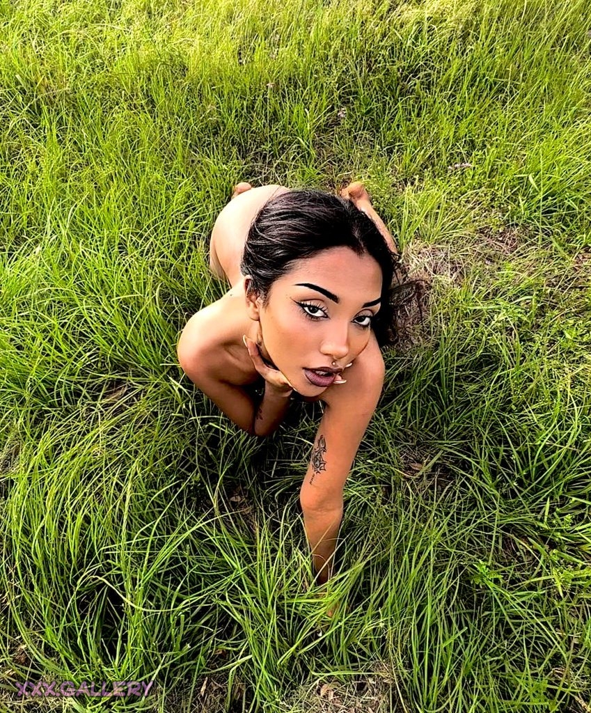 Exploring the Wild Side