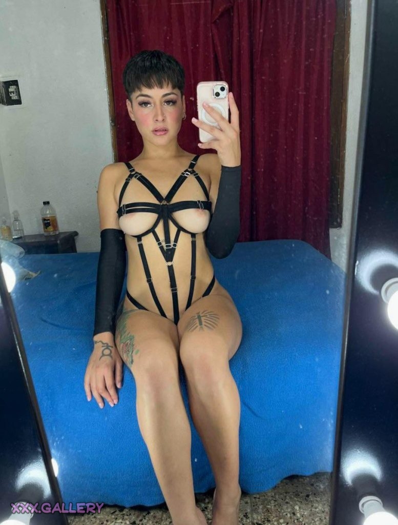 Exploring the Wild Side A Redditors Take