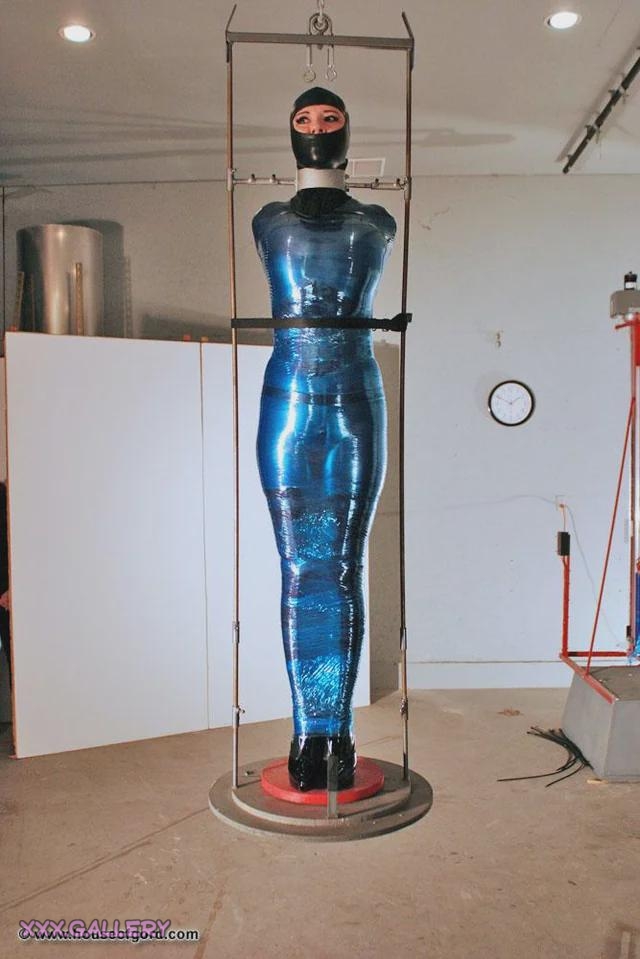 The Intriguing Tale of a Feathered Friend and its Unique Enclosure