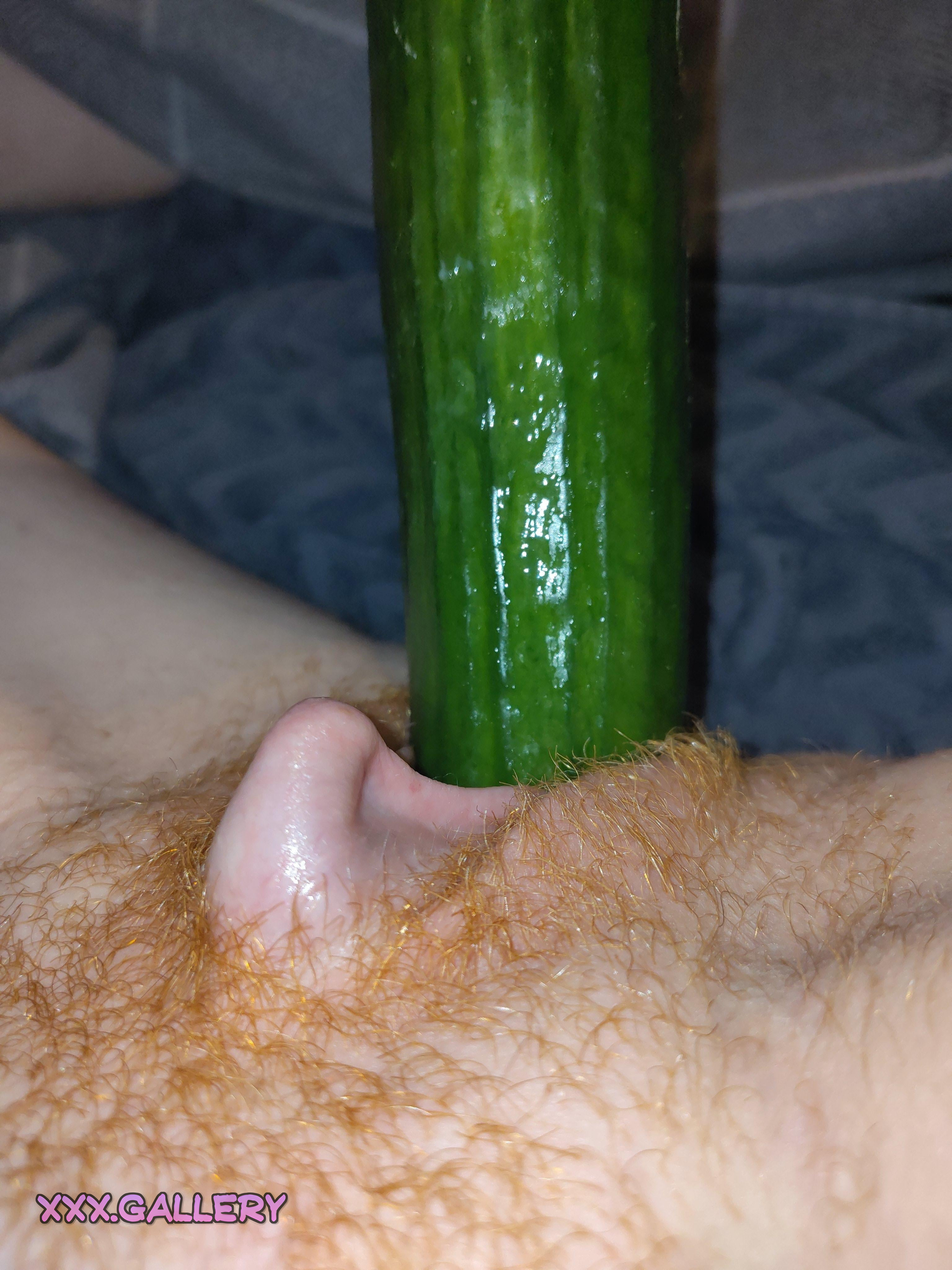 Craving the Thrill of the Long Cucumber 🥒