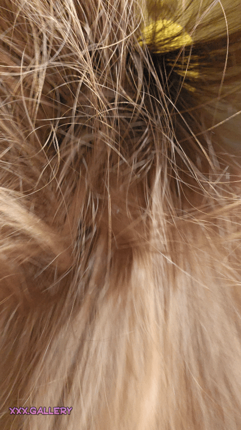 Confidently Sensual: Proving Pregnancy as a Turn-On 🍯