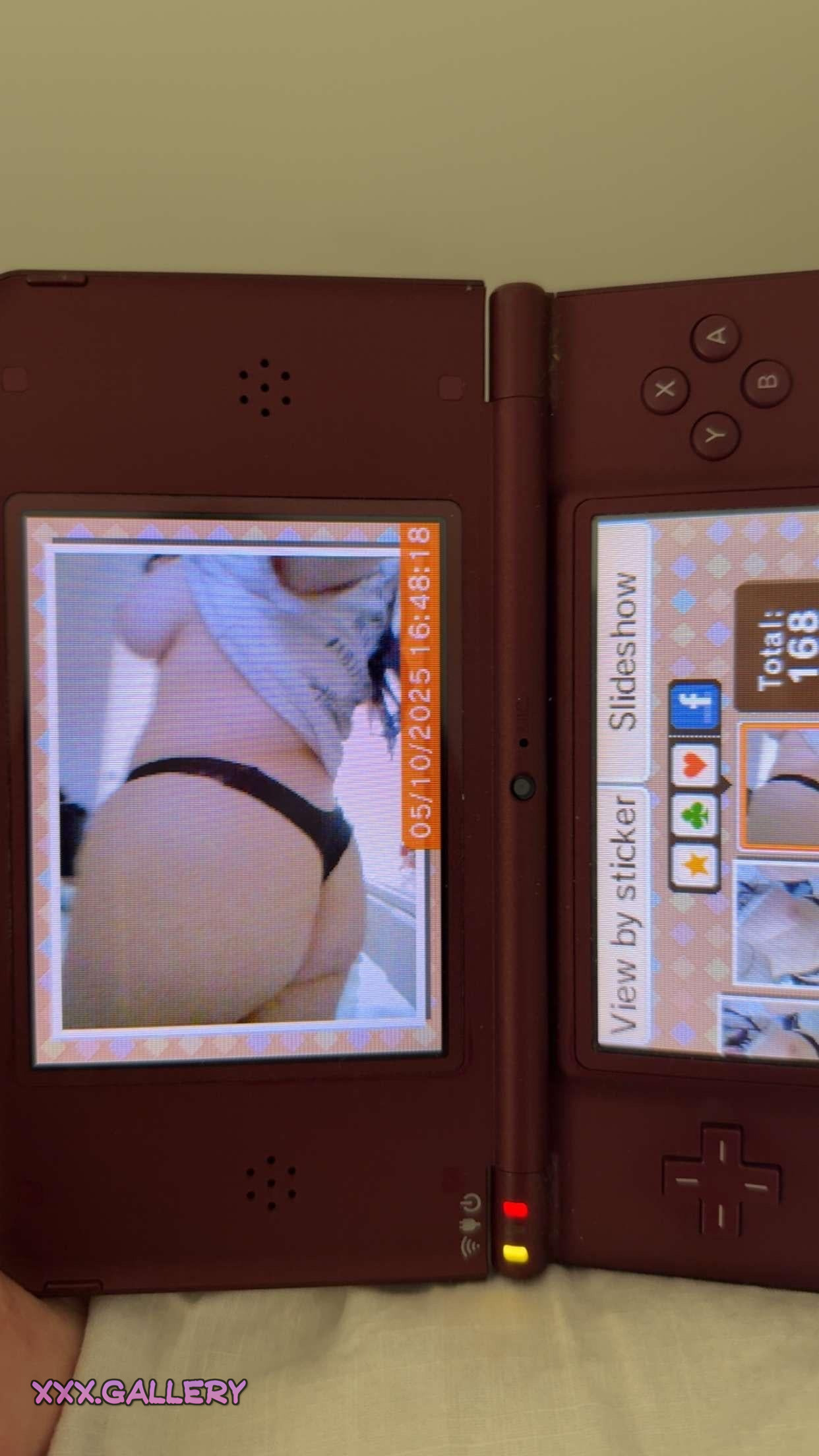 Nintendo Nudie Nights: What If I Sent You NSFW DS Screenshots?